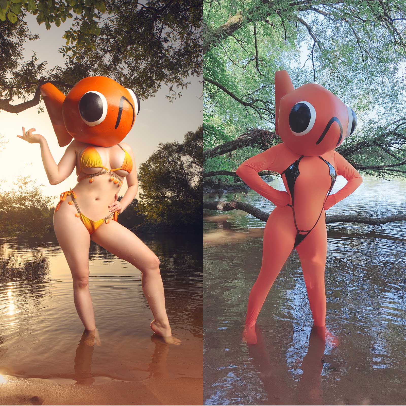 Digital HD Photosets